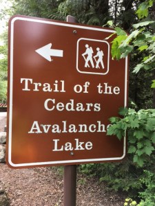 Trail of the Cedars